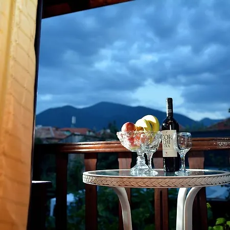 Trenchova Gæstehus Bansko