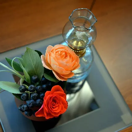 Gasthuis Trenchova Bansko